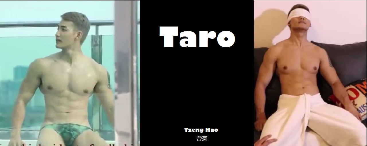 Magazine – Taro