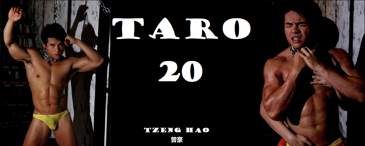 Magazine – Taro 20