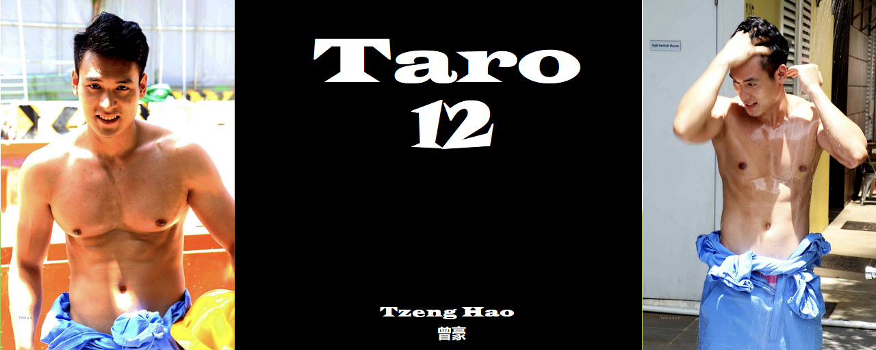 Magazine – Taro 12