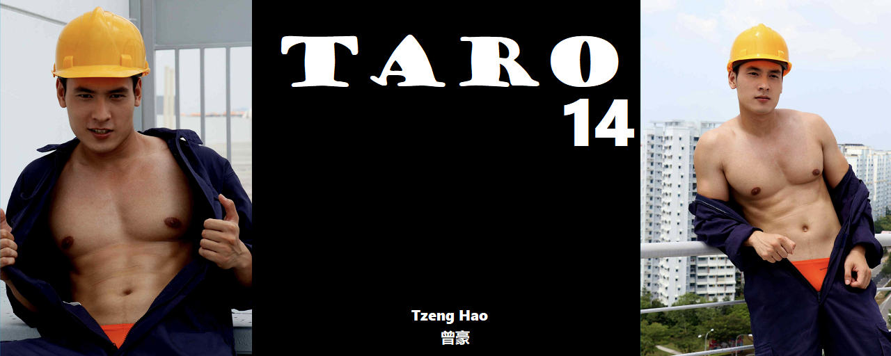 Magazine – Taro 14